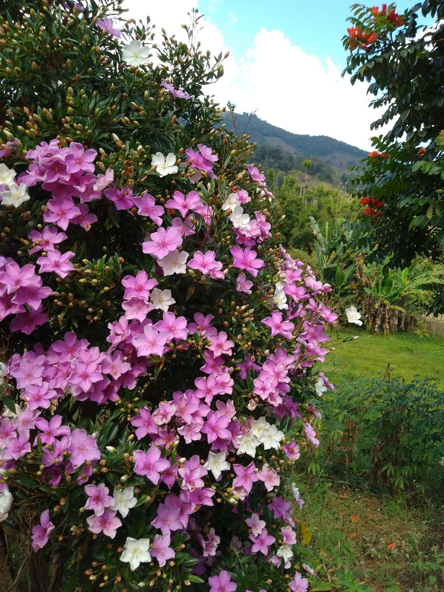 Rancho Pe Da Pedra Villa São Bento do Sapucaí Oda fotoğraf